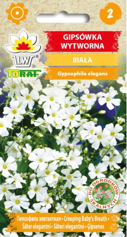 Toraf Gipsówka wytworna biała nasiona 2 sklep rajogrodnika